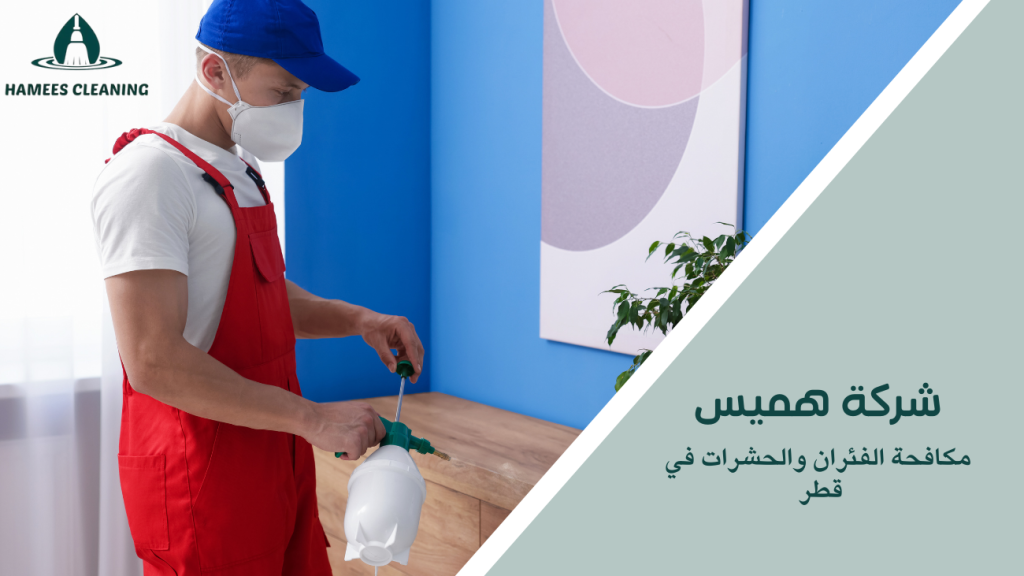 مكافحة الفئران والحشرات في قطر