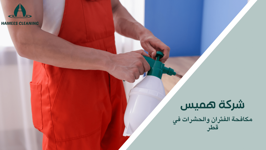 مكافحة الفئران والحشرات في قطر