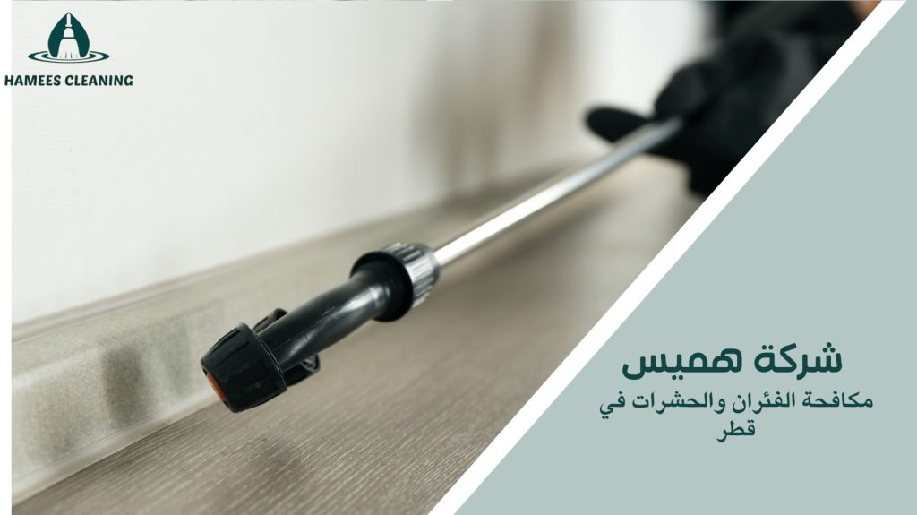 مكافحة الفئران والحشرات في قطر