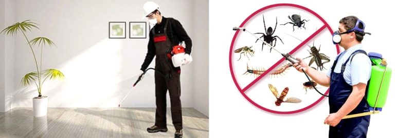 عامل-رش-حشرات-يرش-المنزل-يعمل-لدى-شركة-هميس