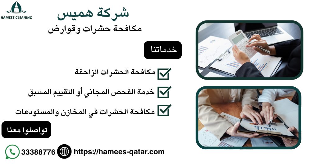 مكافحة حشرات وقوارض