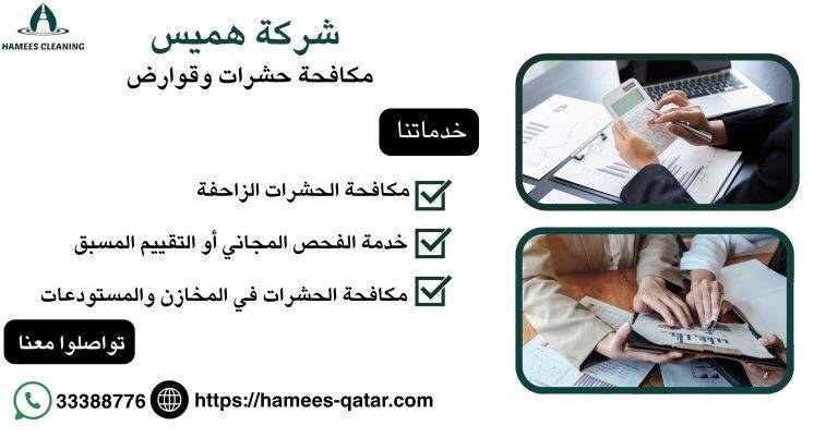 مكافحة حشرات وقوارض