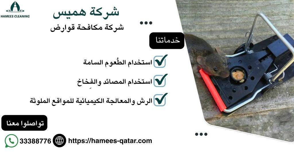شركة مكافحة قوارض
