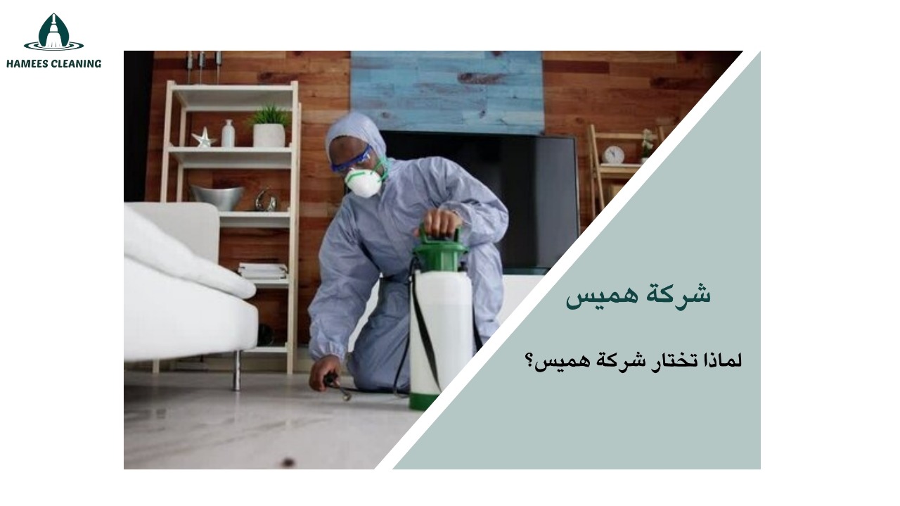 شركة مكافحة حشرات في قطر