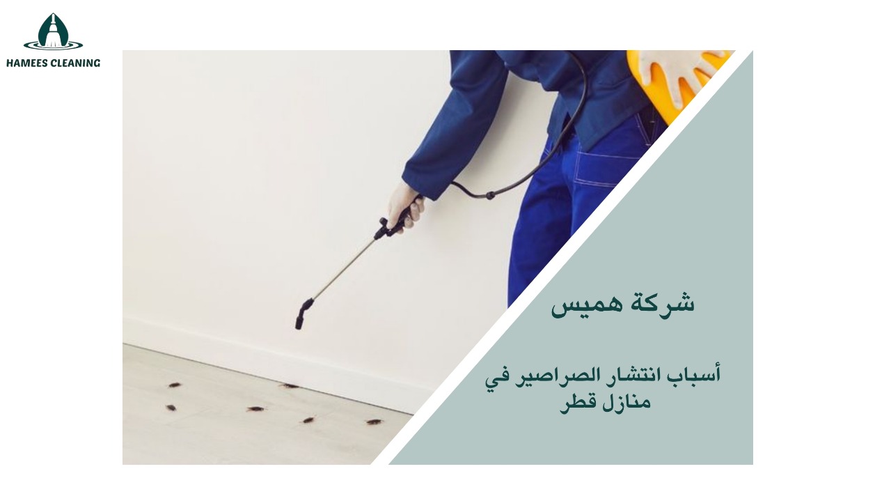 التخلص من الصراصير في قطر