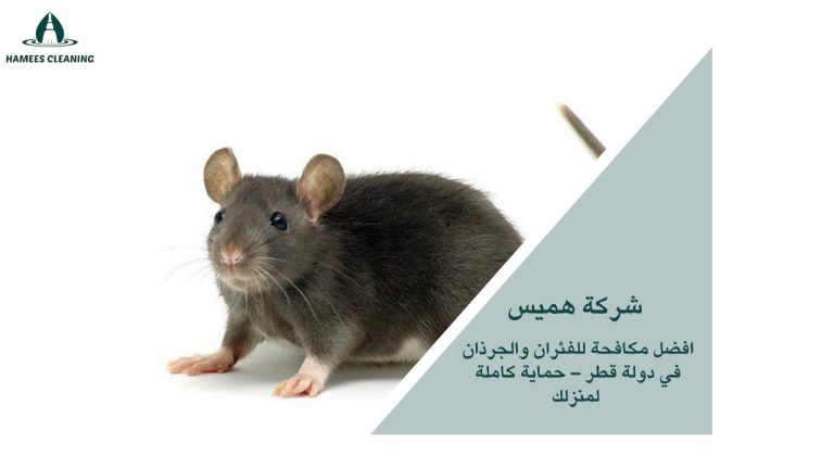 مكافحة الفئران في قطر