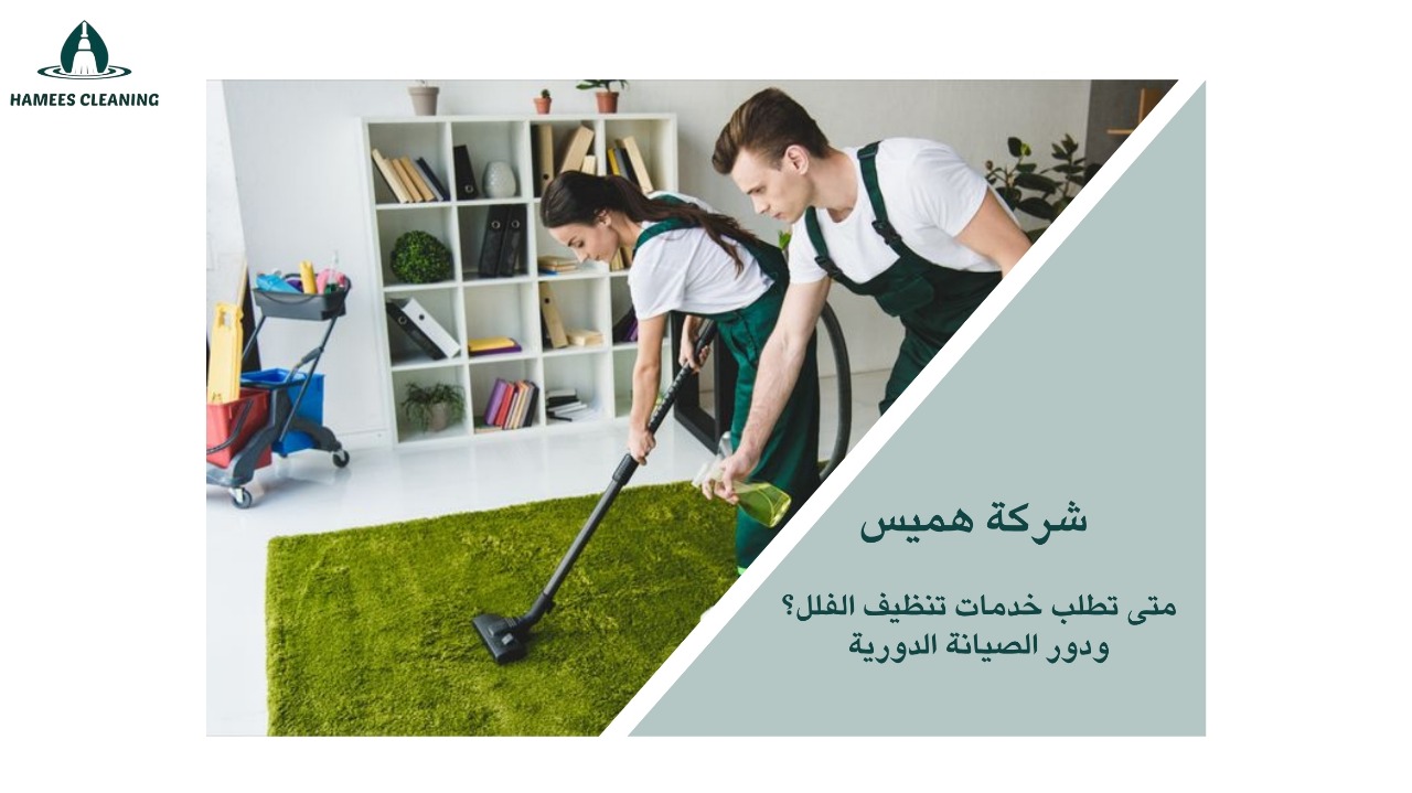 تنظيف فلل في الريان