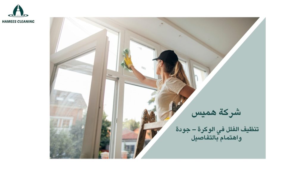 تنظيف فلل الوكرة