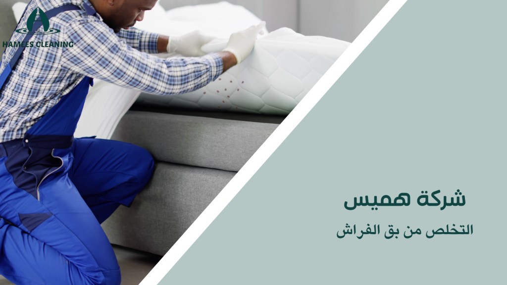 شركة مكافحة بق الفراش في قطر