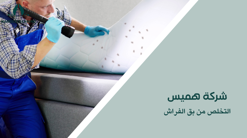 شركة مكافحة بق الفراش في قطر
