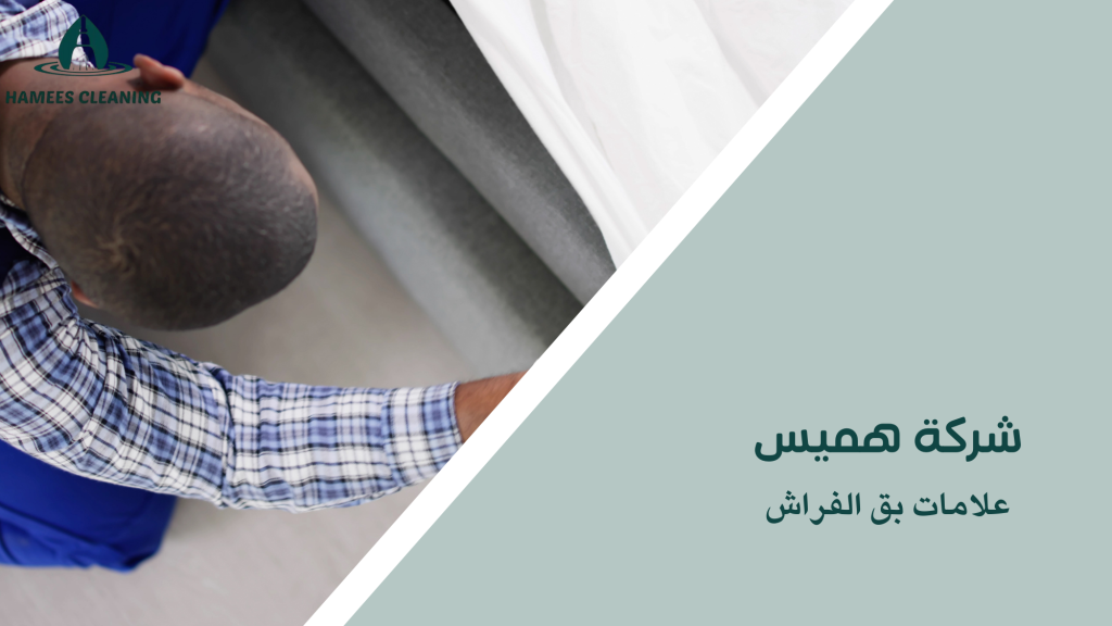 علامات بق الفراش