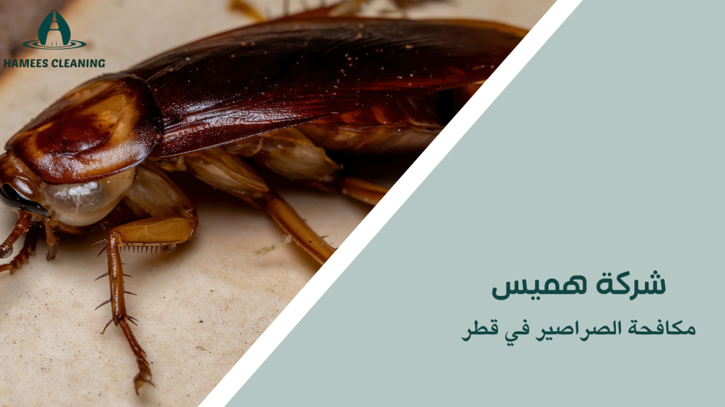 مكافحة الصراصير في قطر