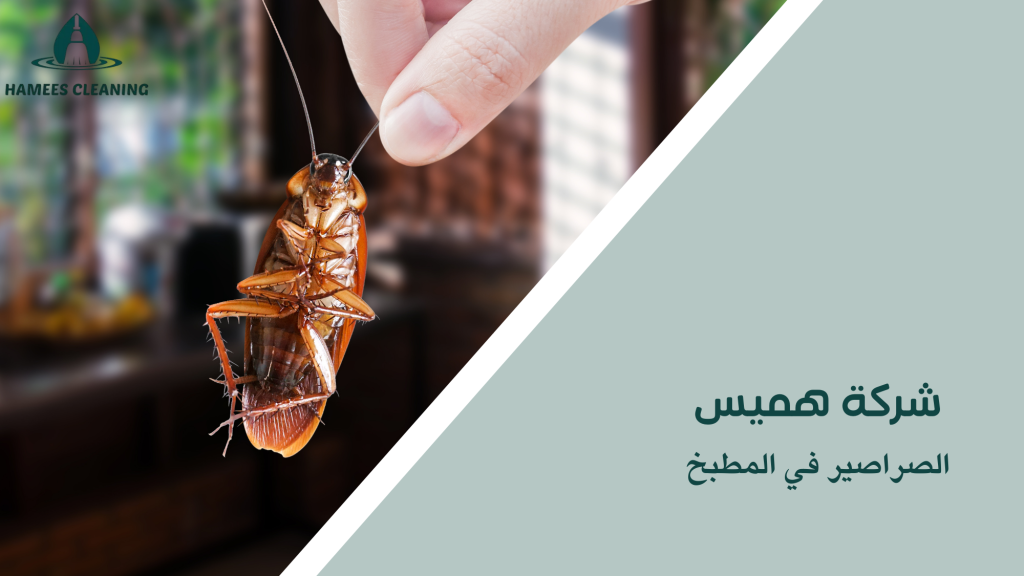 الصراصير في المطبخ