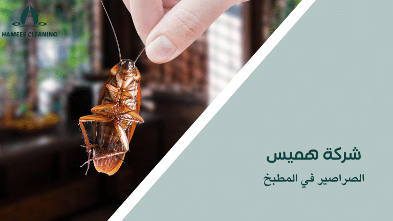 الصراصير في المطبخ