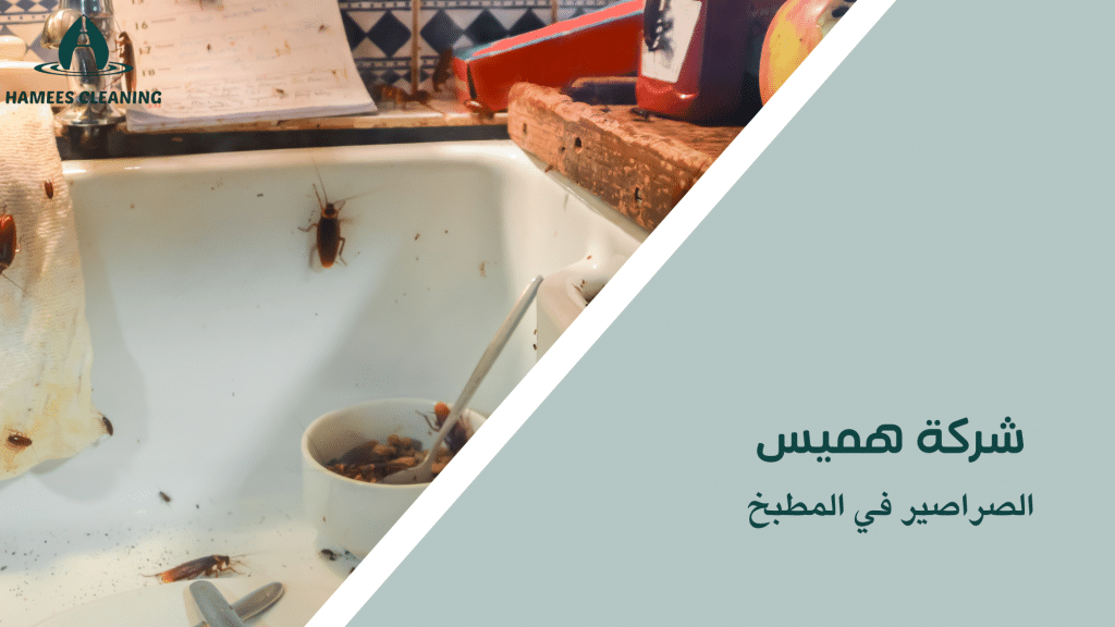 الصراصير في المطبخ