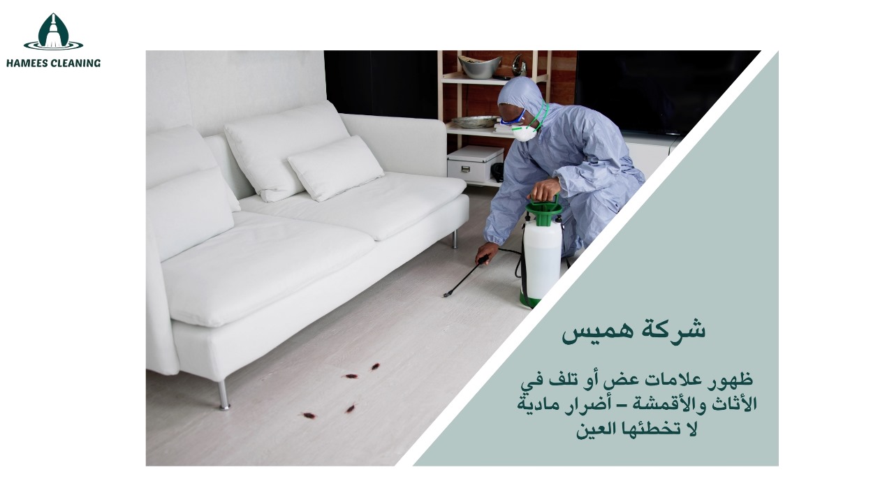 علامات وجود حشرات في المنزل