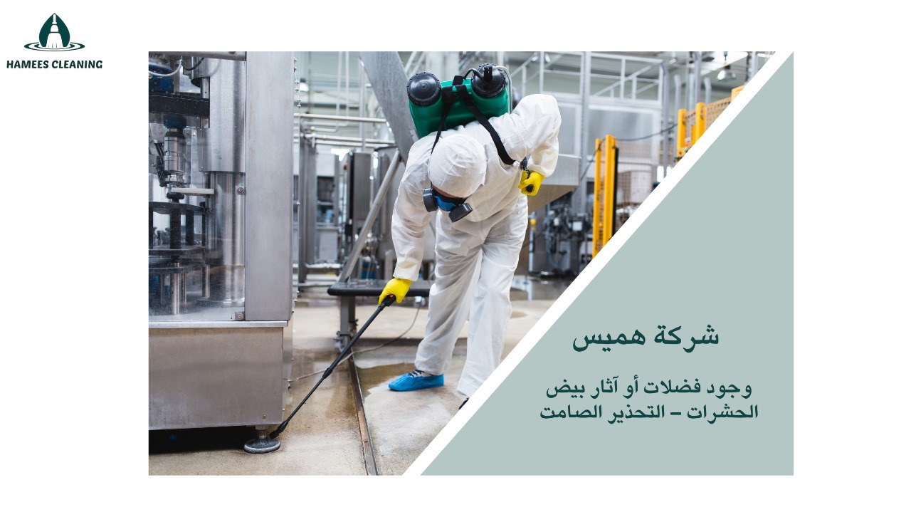 علامات وجود حشرات في المنزل