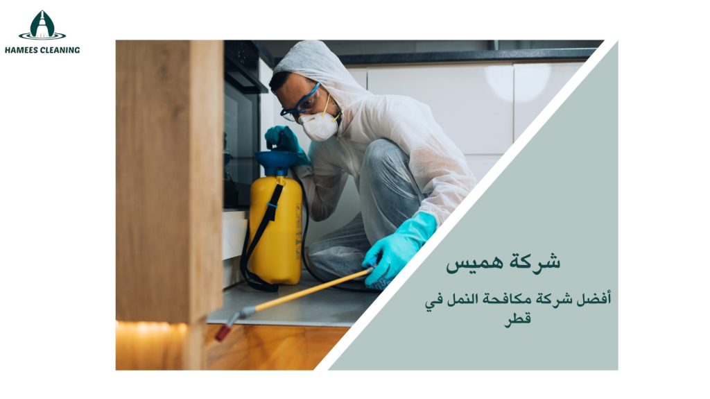 مكافحة النمل في قطر