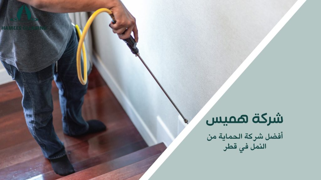 الحماية من النمل