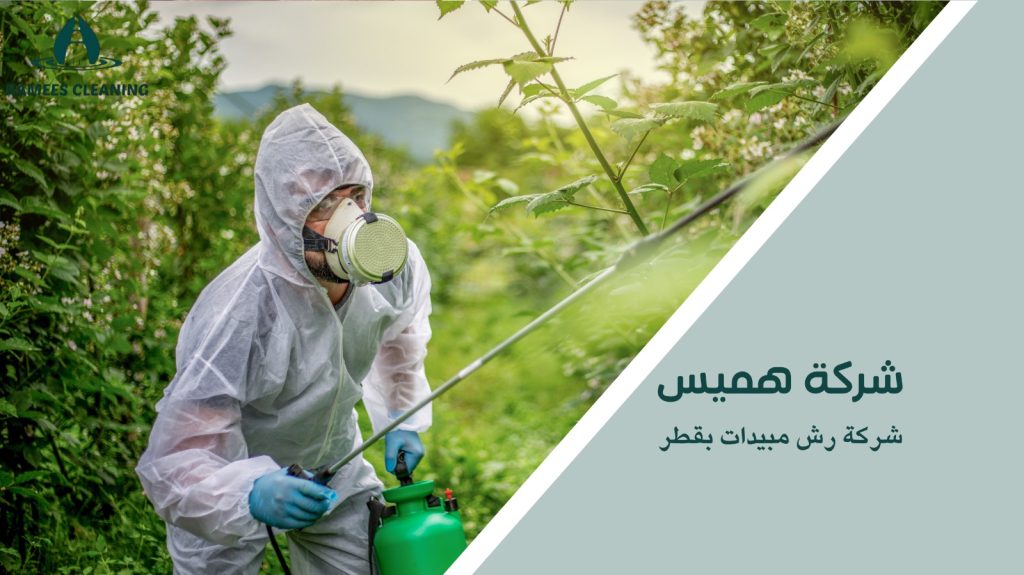 الحماية من النمل