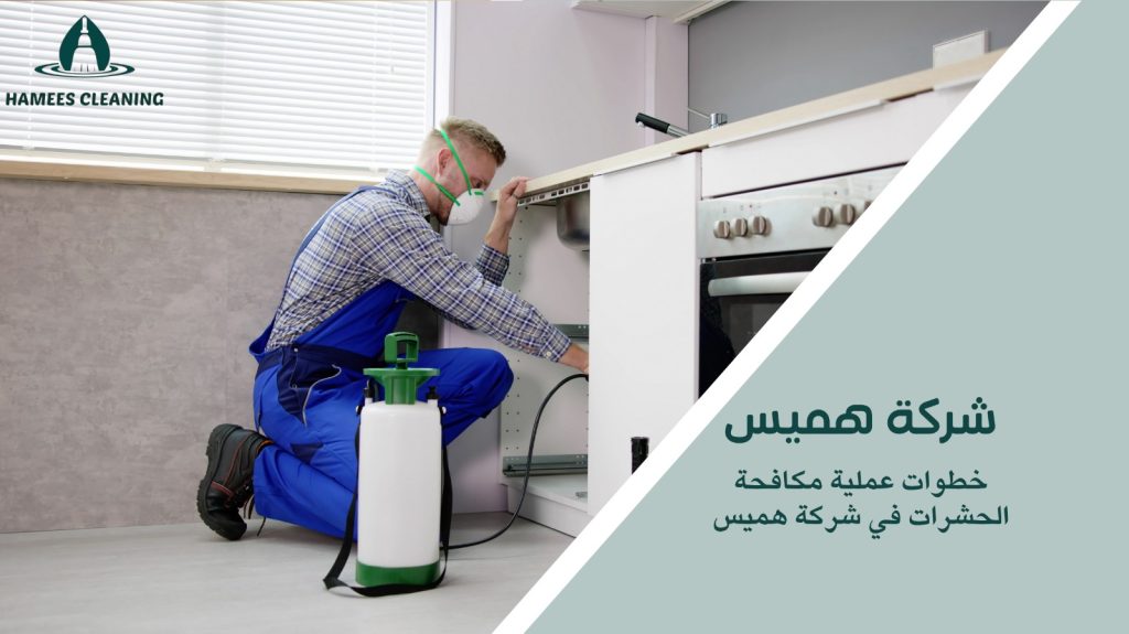 مكافحة الحشرات في الخور