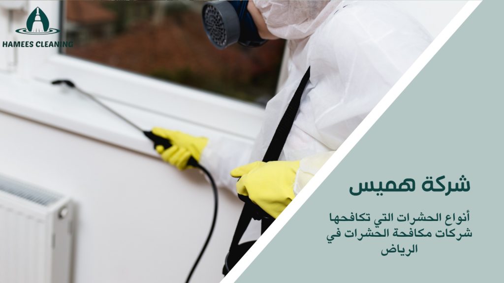 مكافحة الحشرات في الوكرة 