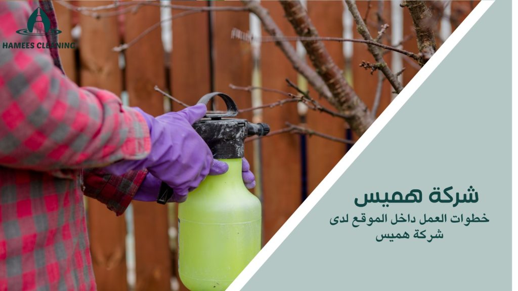 مكافحة الحشرات المنزلية في قطر