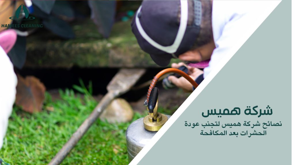 مكافحة الحشرات المنزلية في قطر