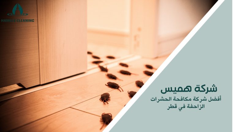 مكافحة الحشرات الزاحفة في قطر