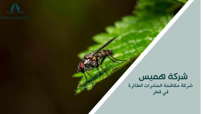 مكافحة الحشرات الطائرة في قطر