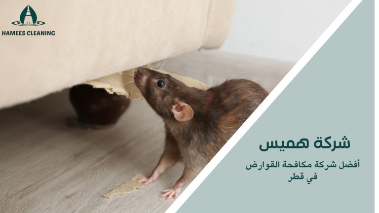 مكافحة القوارض في قطر