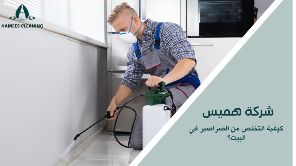 مكافحة الصراصير في قطر