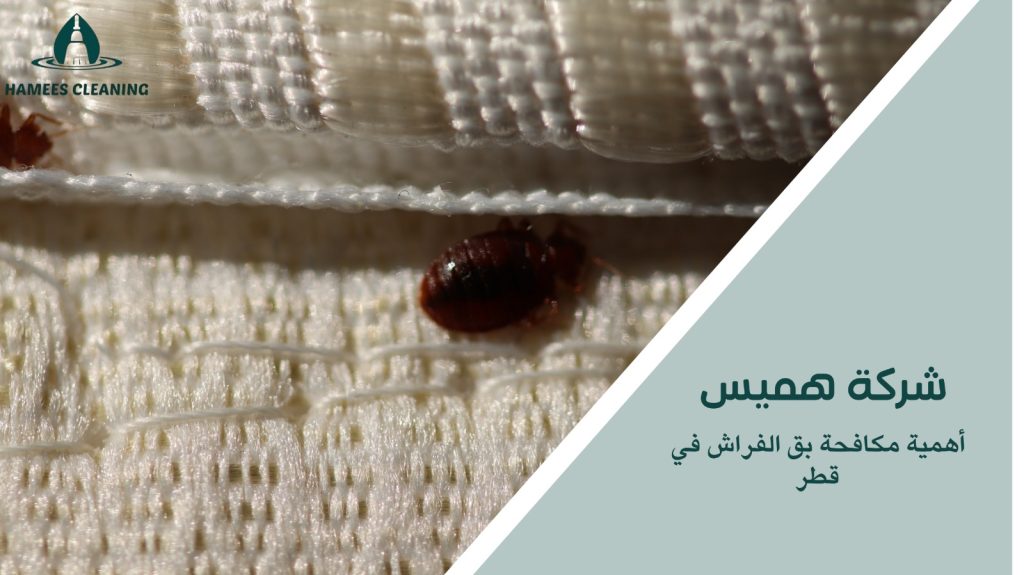 مكافحة بق الفراش في قطر