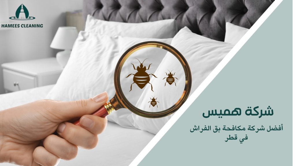 مكافحة بق الفراش في قطر