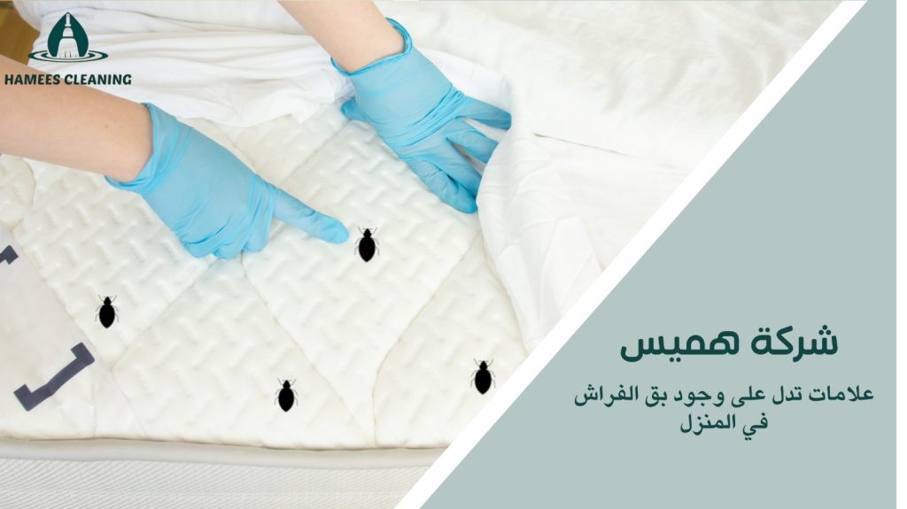 مكافحة بق الفراش في قطر
