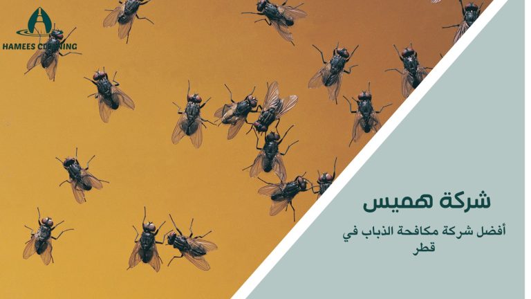 مكافحة الذباب في قطر