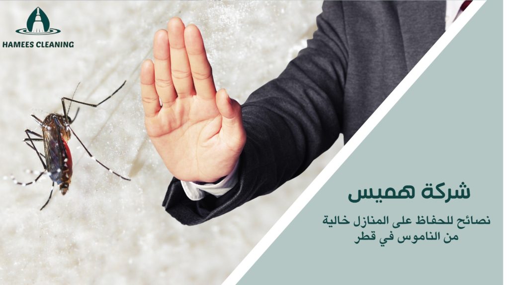 مكافحة الناموس في قطر