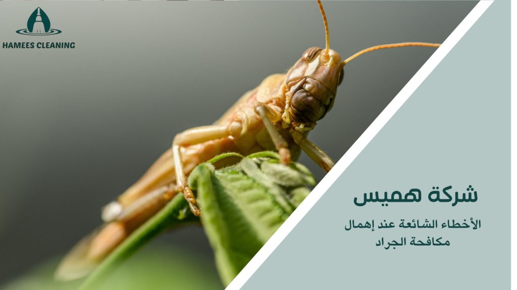 مكافحة الجراد في قطر