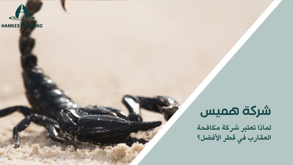 مكافحة العقارب في قطر