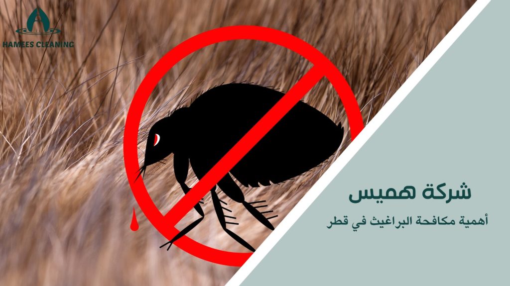 مكافحة البراغيث في قطر