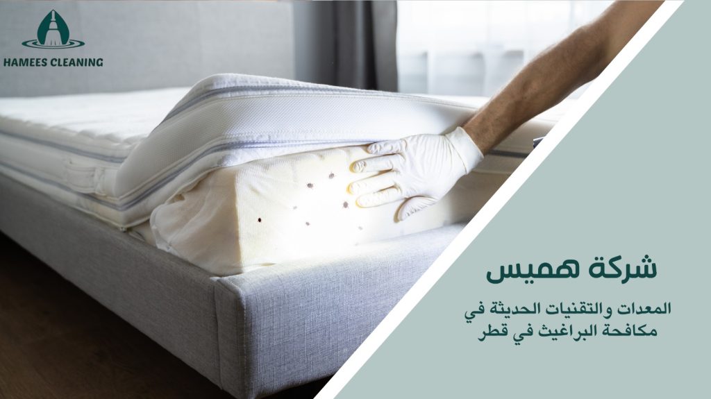 مكافحة البراغيث في قطر