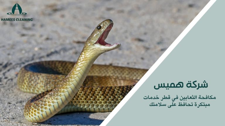 مكافحة الثعابين في قطر