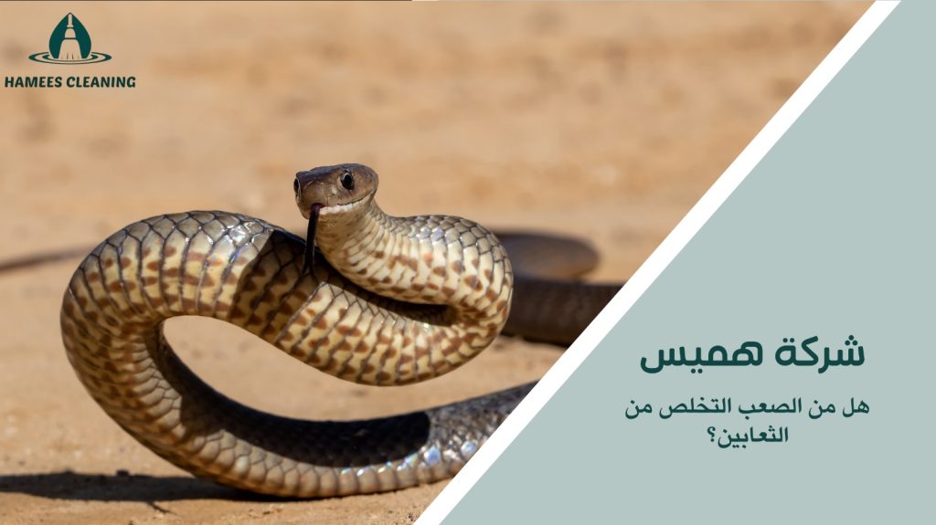 مكافحة الثعابين في قطر