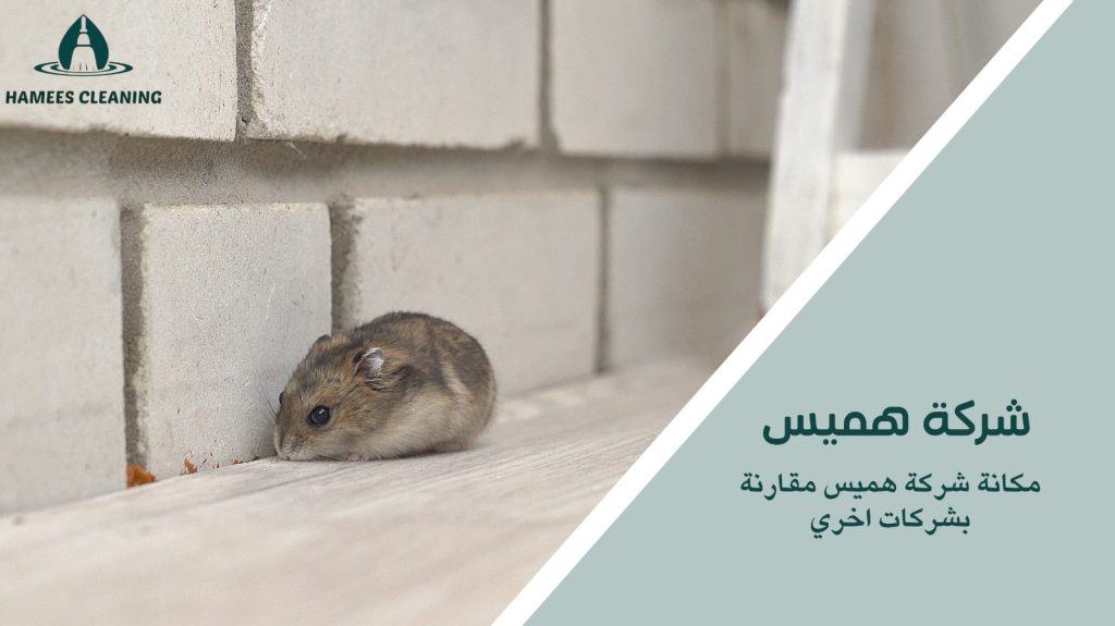 مكافحة الفئران في قطر