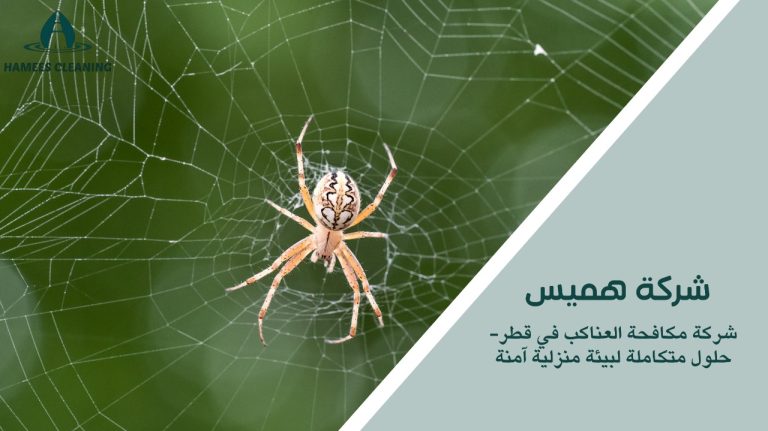 مكافحة العناكب في قطر