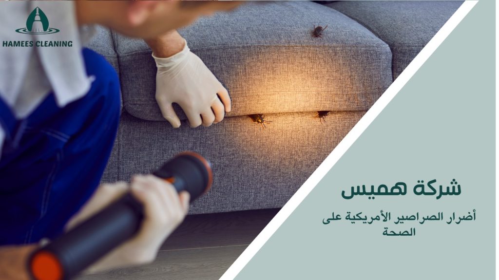 مكافحة الصراصير الأمريكية في قطر