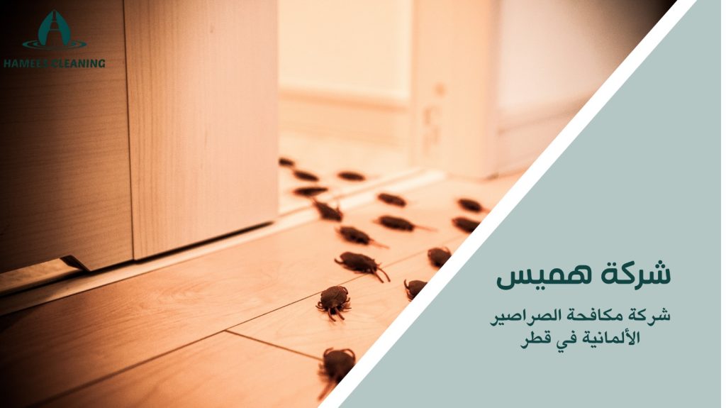 مكافحة الصراصير الألمانية في قطر