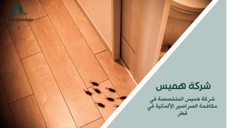 مكافحة الصراصير الألمانية في قطر