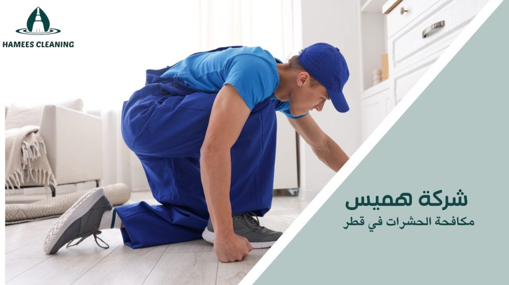 مكافحة الحشرات في قطر