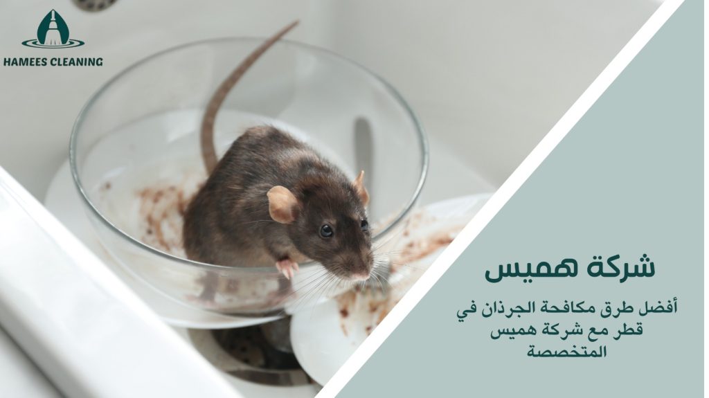 مكافحة الجرذان في قطر